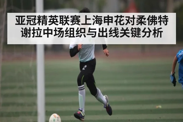 亚冠精英联赛上海申花对柔佛特谢拉中场组织与出线关键分析